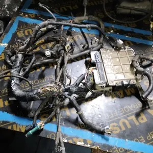Complete Engine Harness 2az ,Vanguard