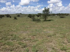 Prime 10 Acres for Sale 800 Metres Off Kiserian-Isinya Highway