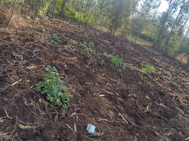 Prime 50 by 100 Plot in Merisho, Matasia 50 Metres Off Tarmac