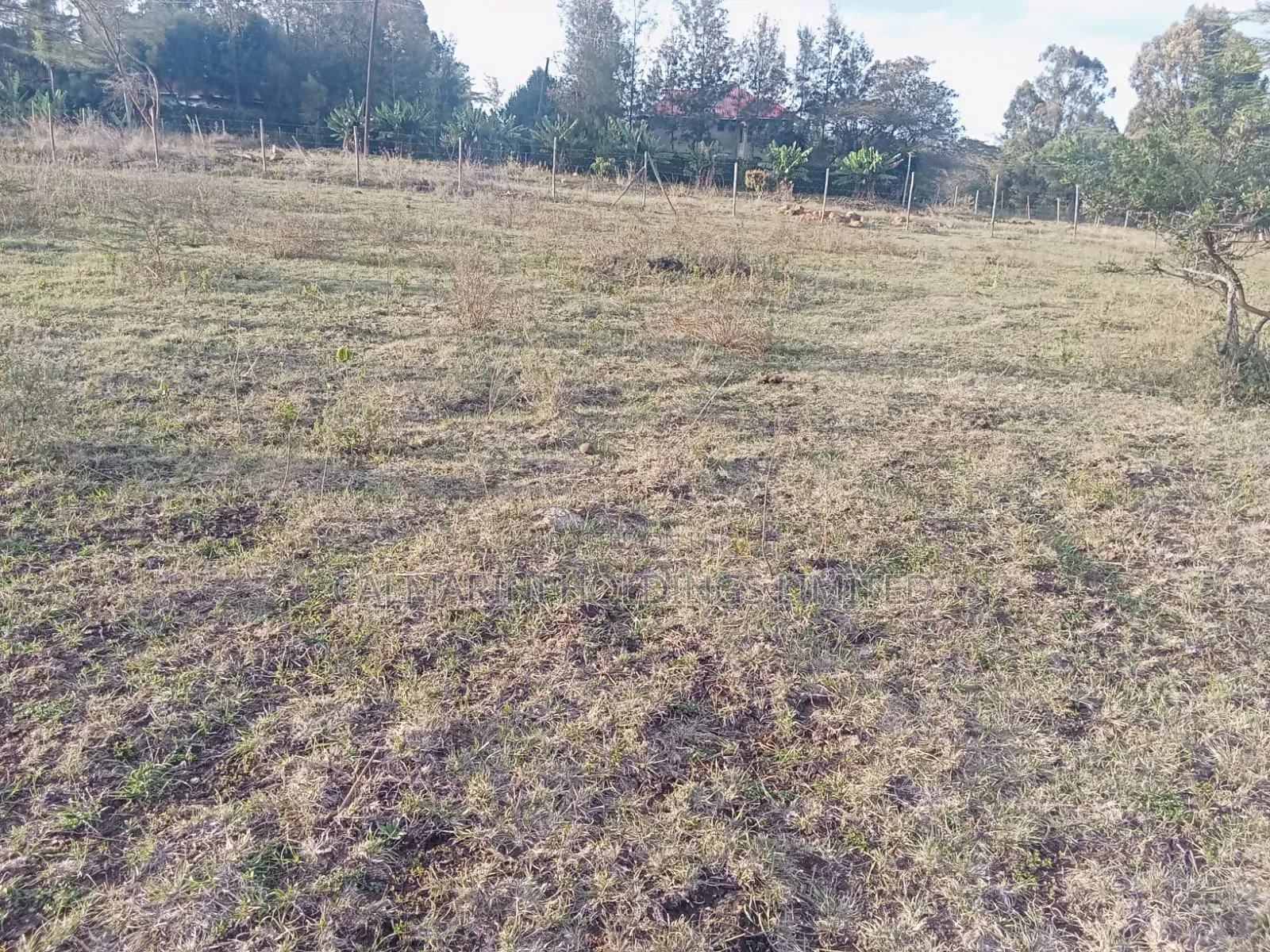 50 by 100 Plots Near Merisho Police Station, Matasia