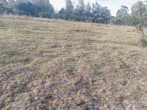 50 by 100 Plots Near Merisho Police Station, Matasia