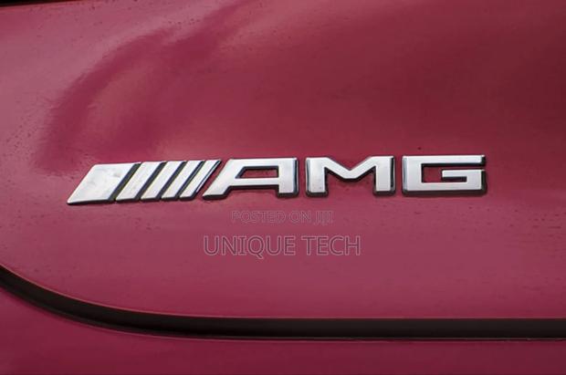 Mercedes-Benz Amg Silver Emblem Badge