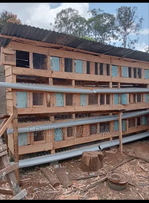 Rabbit Cages Construction