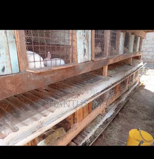 Rabbit Cages Construction