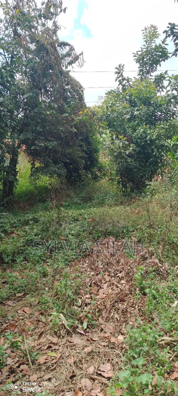Prime Undeveloped Plot Quarter an Acre
