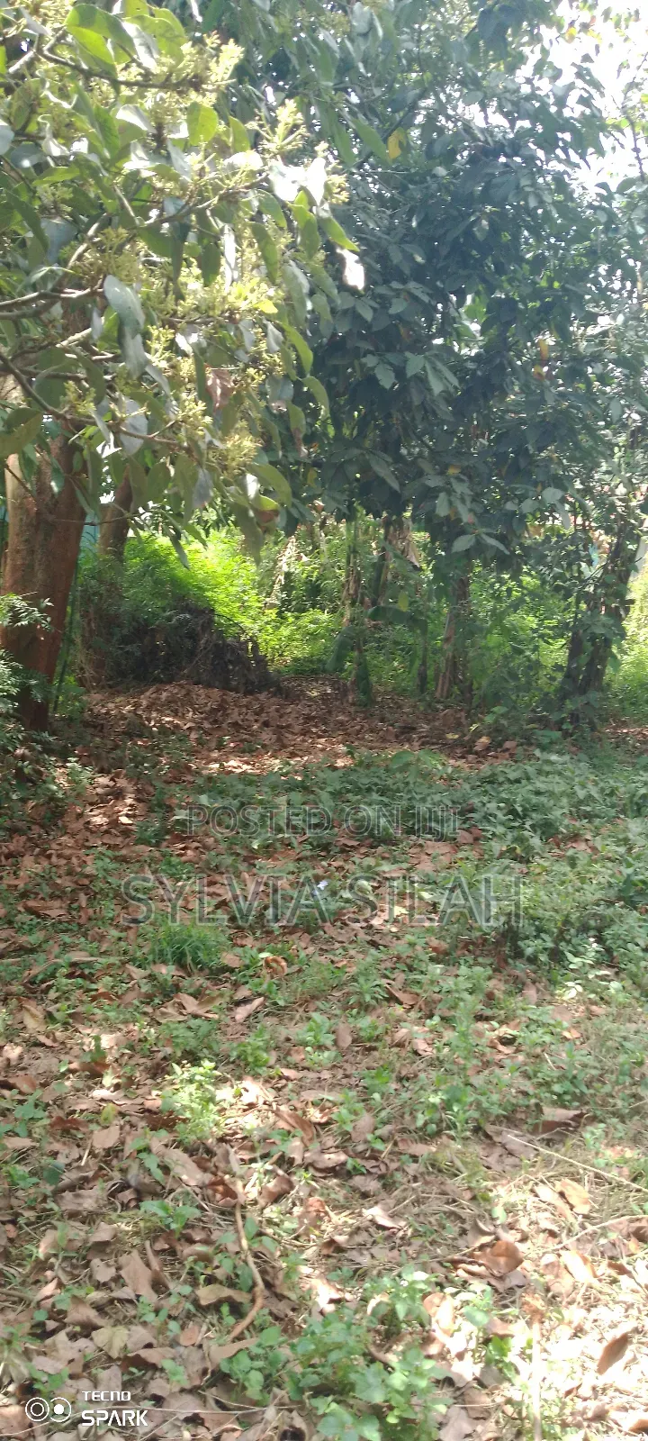 Prime Undeveloped Plot Quarter an Acre