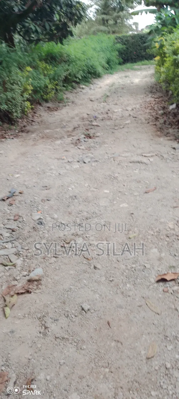 Prime Undeveloped Plot Quarter an Acre