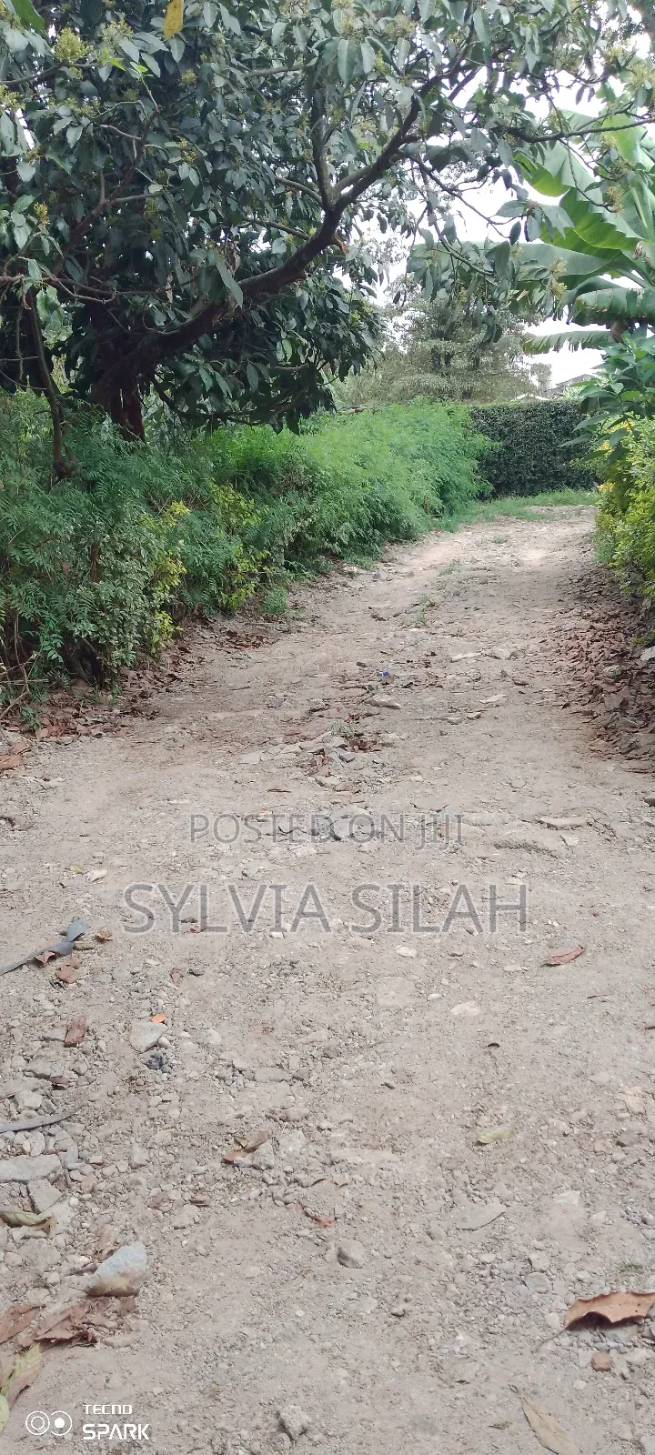 Prime Undeveloped Plot Quarter an Acre