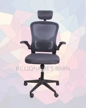 Plush Grey Ergonomic Office Chair | Scratch-Resistant Finish