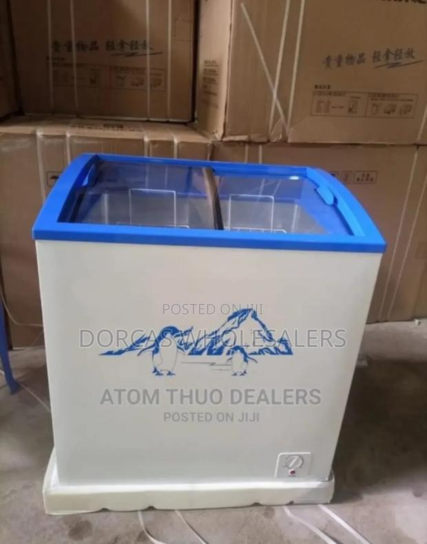 Commercial - Icecol 159litres Display Freezer - main view