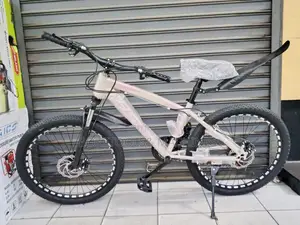 Size 24 Bicycle