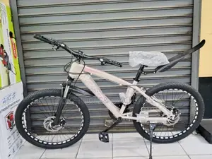 Size 24 Bicycle