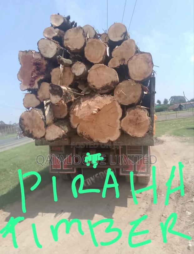 Cypress and Pine Timber for Roofing - thumbnail 2