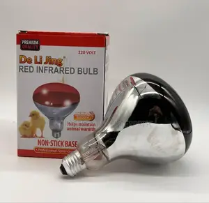 Infrared Chicken Bulb