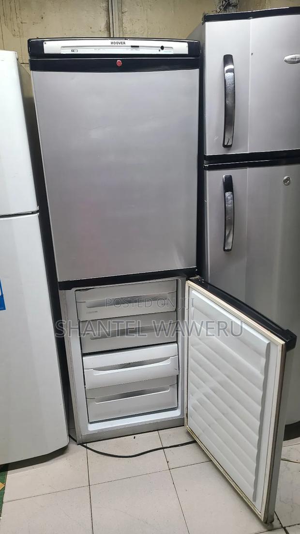 Bottom Freezer Fridge/Refrigerator