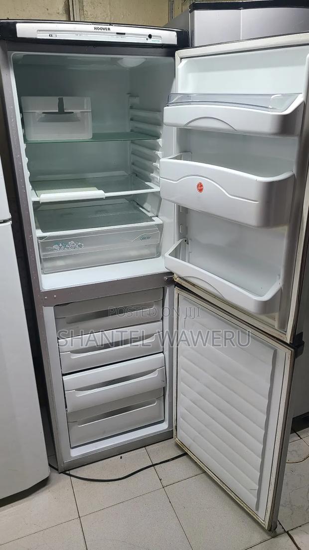 Bottom Freezer Fridge/Refrigerator - thumbnail 2