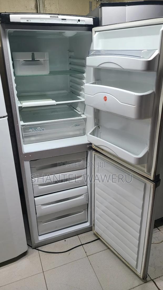 Bottom Freezer Fridge/Refrigerator - thumbnail 3