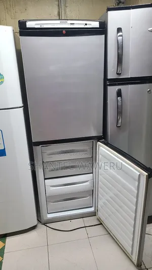 Bottom Freezer Fridge/Refrigerator