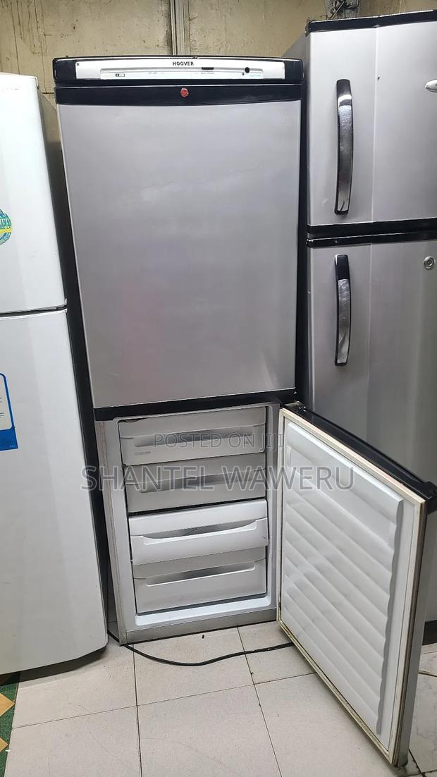 Bottom Freezer Fridge/Refrigerator - thumbnail 4