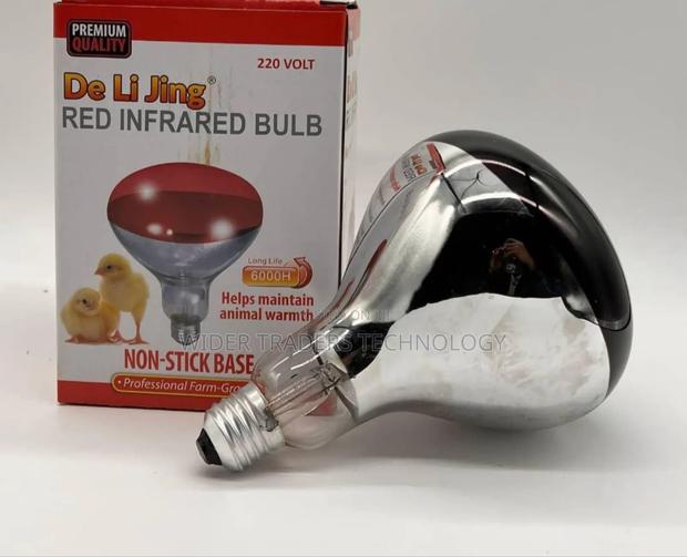 Red Infrared Heat Chicken Bulb - main view