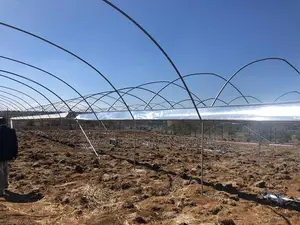 Greenhouse Construction