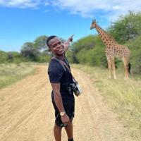 Lorenzo Wealth Creator logo