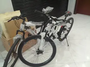 Premier Ride Size 29" Race Bicycle