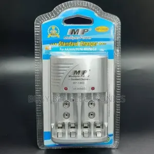 Multiple Charger Battery Charger
