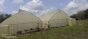 Greenhouse Construction