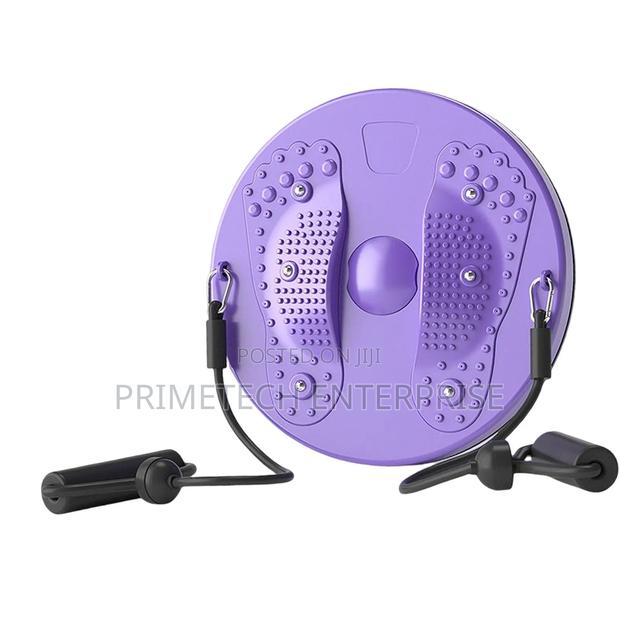 Imported Yoga Twisting Disc - main view