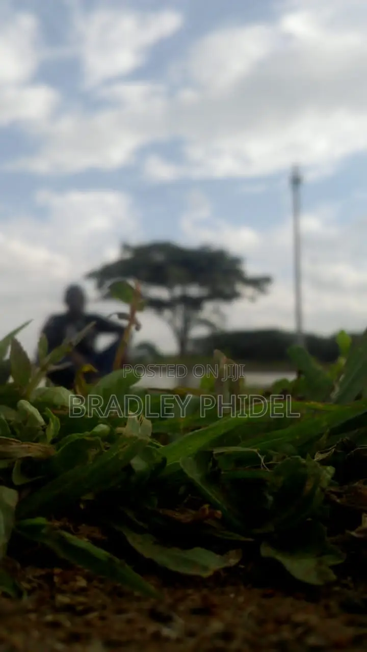 Housekeeping Cleaning Cv