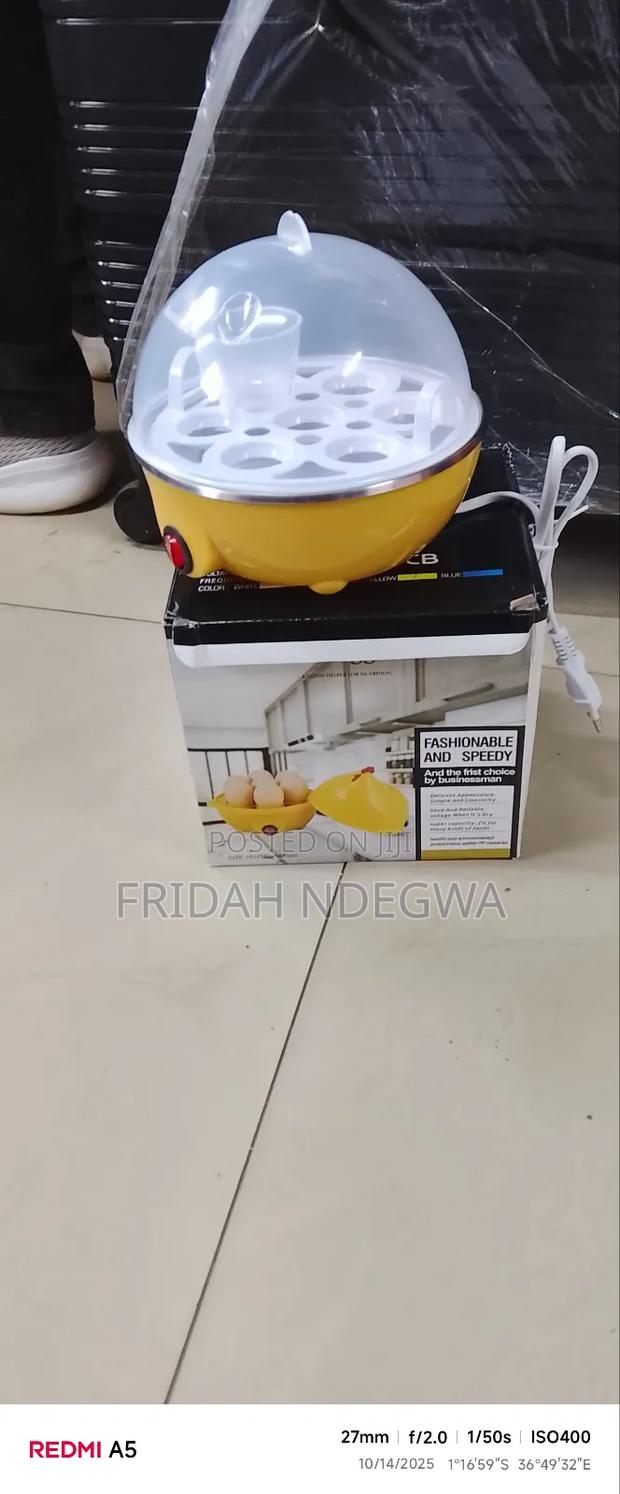 Electric Egg Boiler - main view