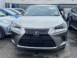 Lexus NX 300 FWD 2018 Gray