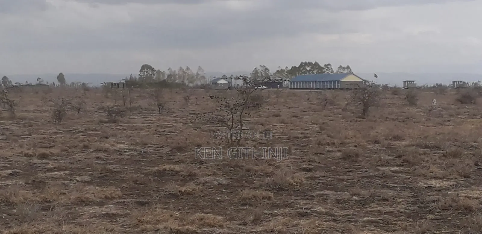 Mwalimu Farm (Ruiru East) 50*100 Plot For Sale