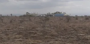 Mwalimu Farm (Ruiru East) 50*100 Plot For Sale
