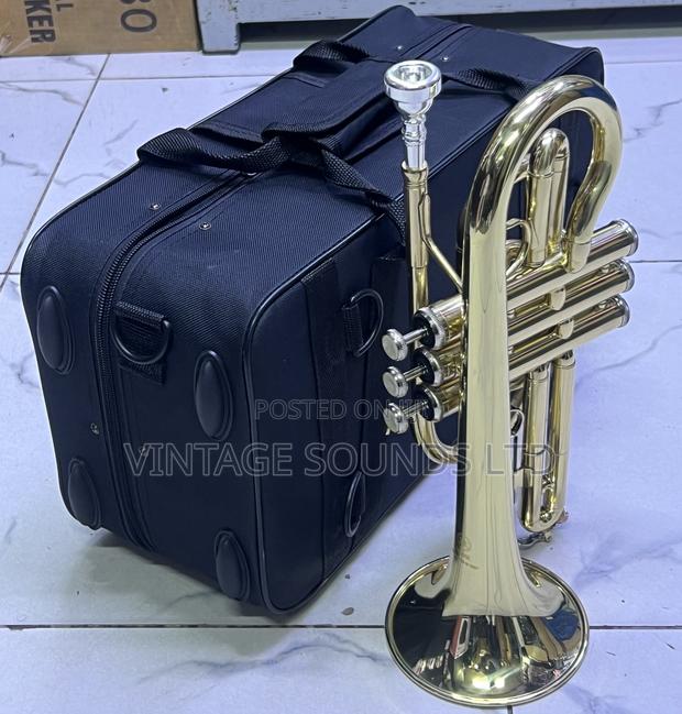 Yamaha Bb Cornet Instrument Set ( Gold Finish) - thumbnail 2