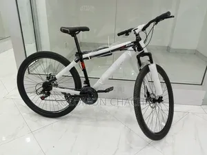 Premier Bike Size 29 With Gear And Suspension