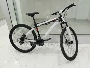 Premier Bike Size 29 With Gear And Suspension