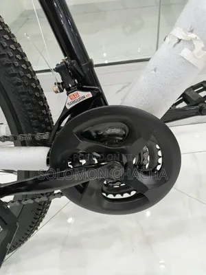 Premier Bike Size 29 With Gear And Suspension
