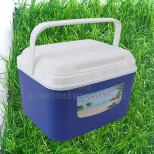 Premier 10 Litres Heavy Duty Cooler Box With Rugged Plastic Exterior