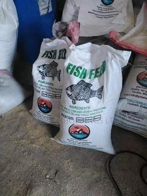 Fish Feeds With Good Protein Contents - main view