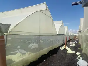 Green House Construction