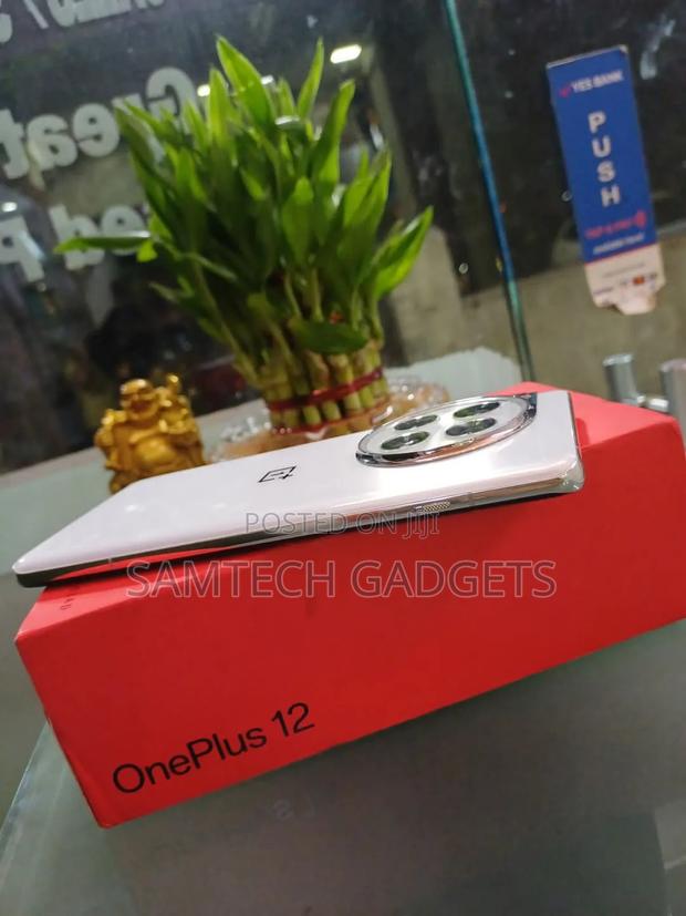 New OnePlus 12 512 GB Silver - main view