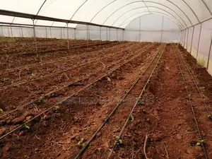 Drip And Greenhouse Installation