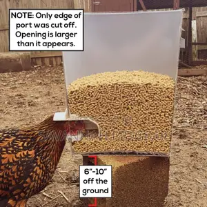Automatic Plastic Poultry Feeders for Chicken, Broilers - 10 Pieces