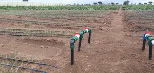 Greenhouse Contruction