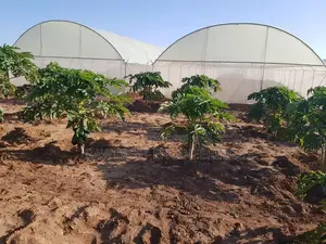 Greenhouse Installation