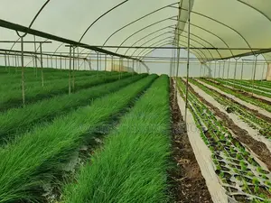 Greenhouse Installation