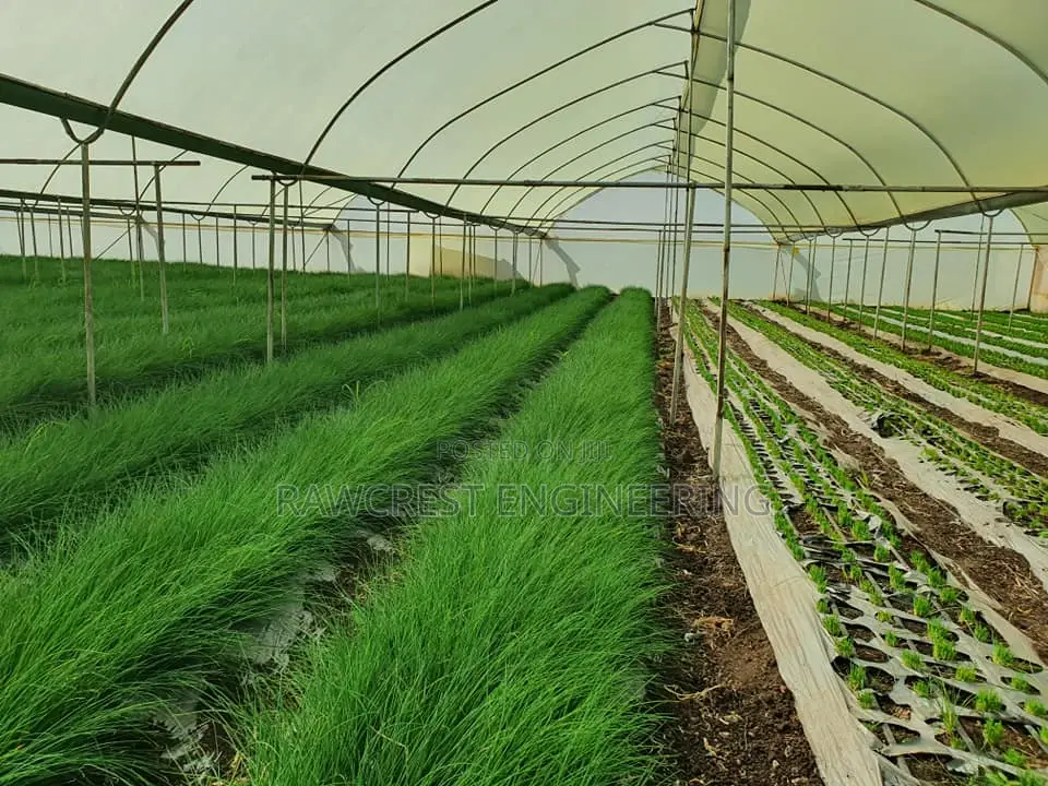 Greenhouse Installation