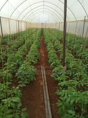 Greenhouse Installation